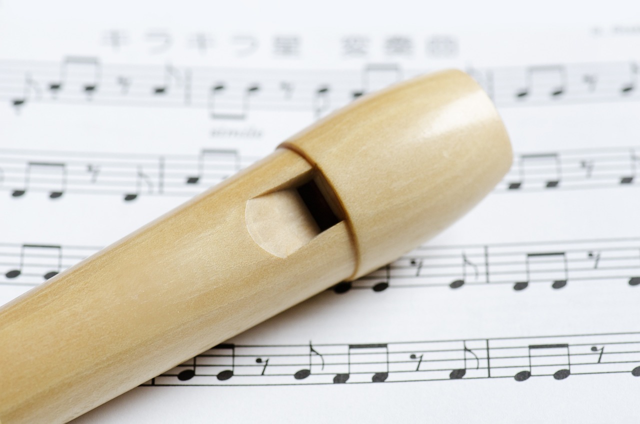 whistle, recorder, wind instrument-1318105.jpg